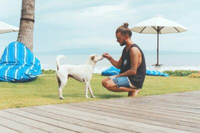 Cachorro na praia